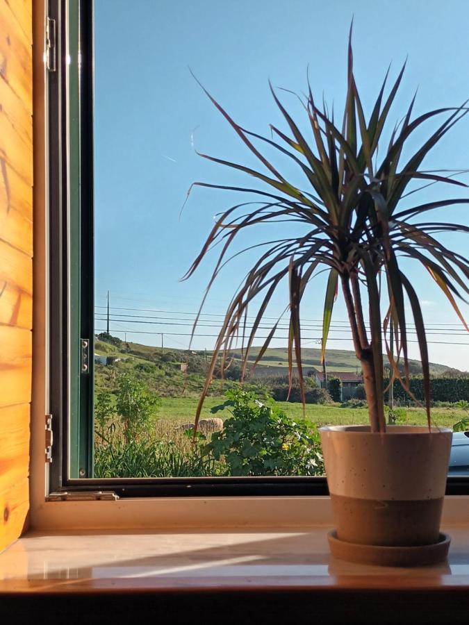 Roots Cozy House Raposeira Vila Raposeira  Exterior foto